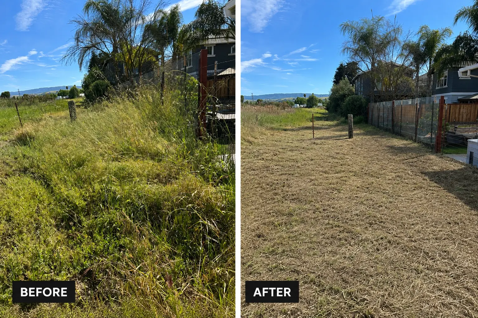 Overgrown lot before and after a full Kardy yard clean-up
